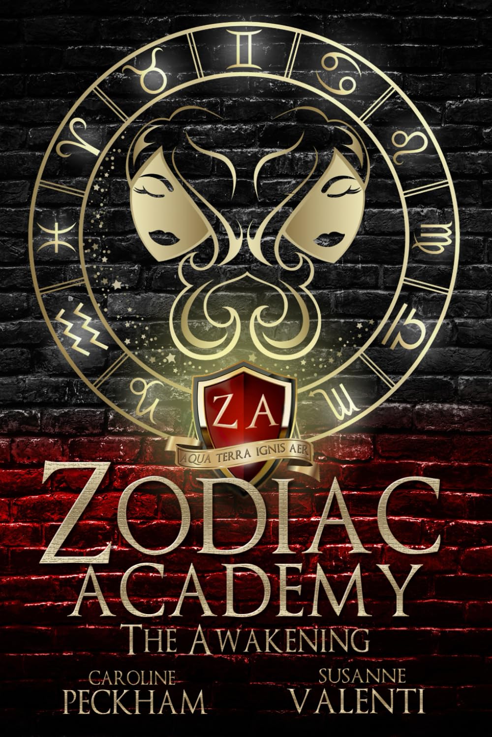 Zodiac Academy 1 : The Awakening